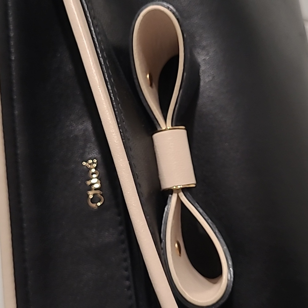 Authentic Chloe - Picture 5 of 7